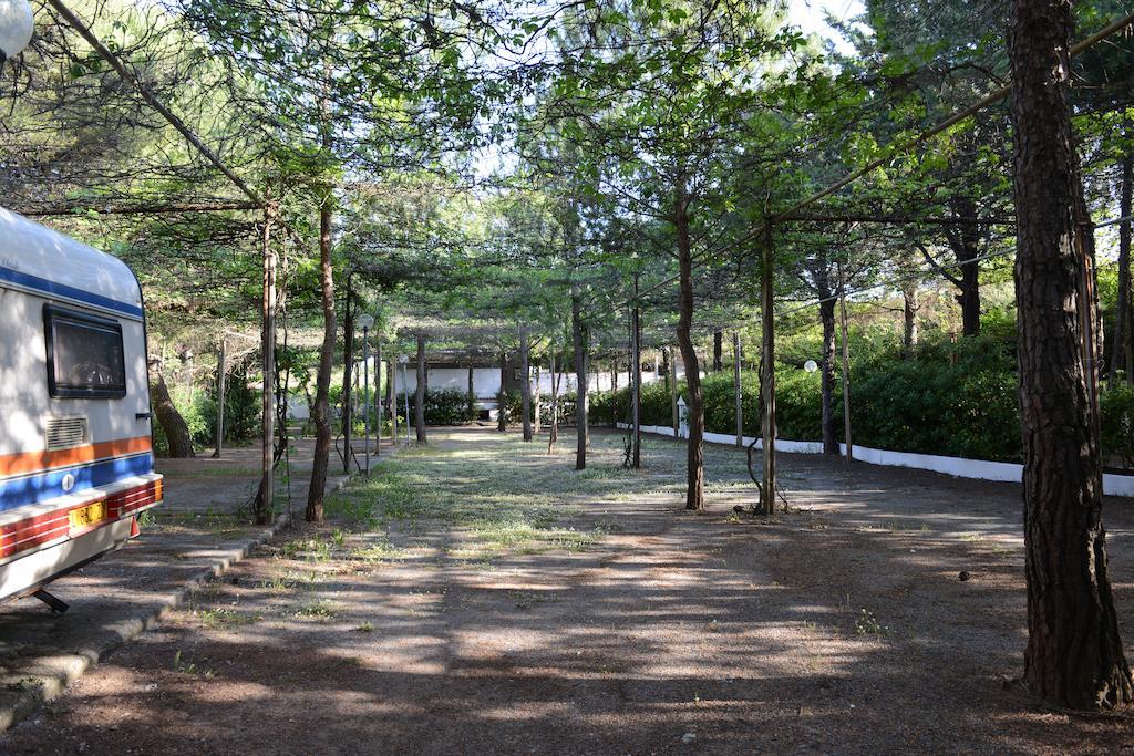 Villaggio La Pantera Rosa Scalea Kültér fotó