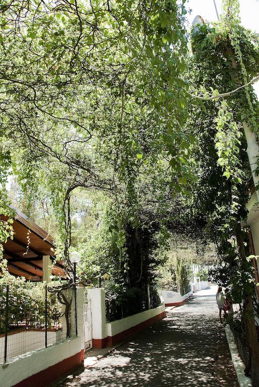 Villaggio La Pantera Rosa Scalea Kültér fotó